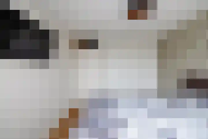 Molenveld 7 Anna Paulowna thumbnail 19