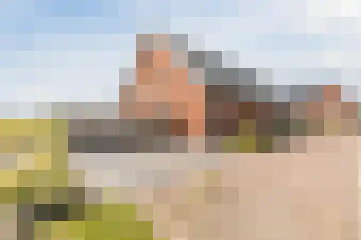 Molenvelden 17 Hapert thumbnail 48