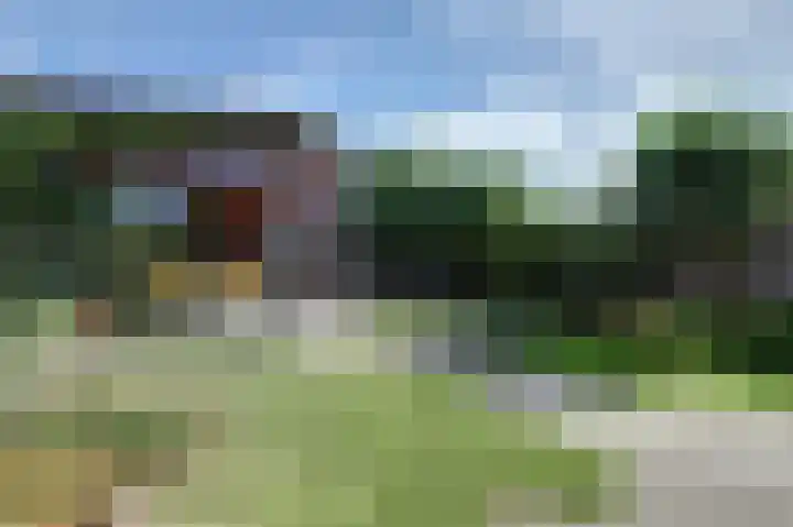 Molenvelden 19 Hapert thumbnail 27