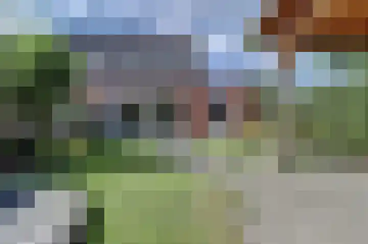 Molenvelden 19 Hapert thumbnail 28