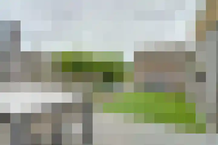 Molenvelden 29 Hapert thumbnail 28