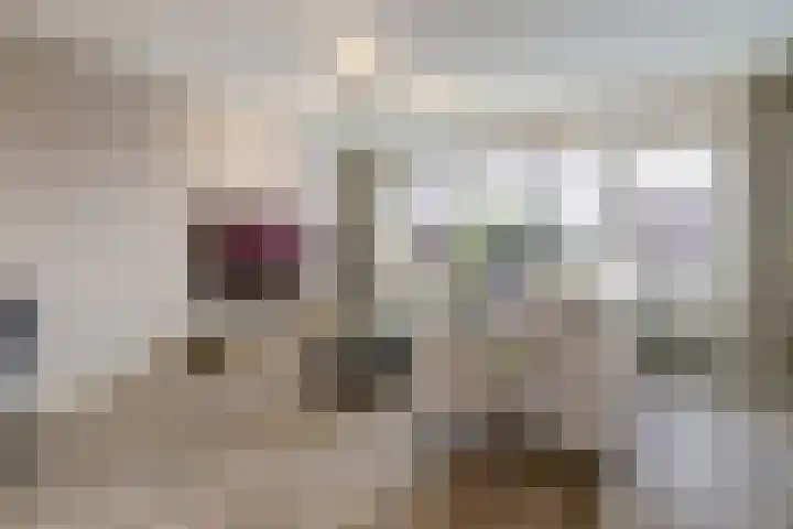 Molenvelden 29 Hapert thumbnail 4