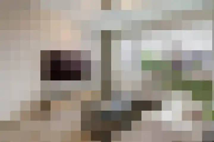 Molenvelden 29 Hapert thumbnail 5