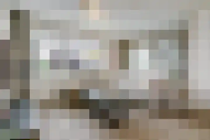 Molenvelden 29 Hapert thumbnail 6