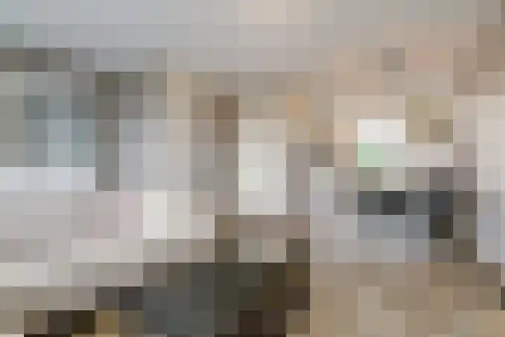 Molenvelden 29 Hapert thumbnail 7