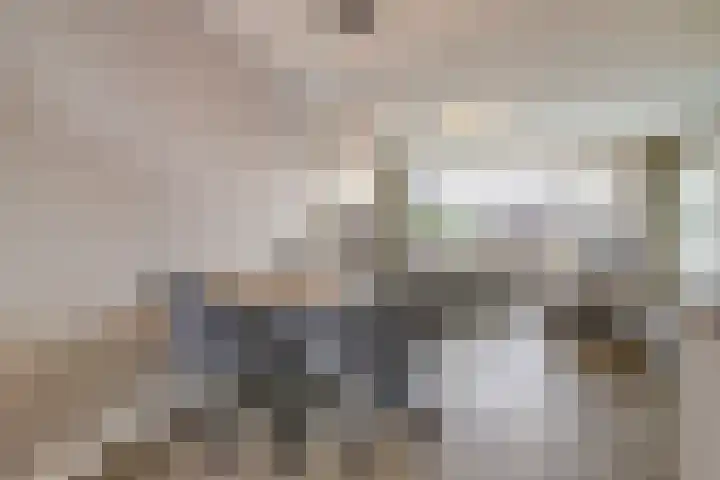 Molenvelden 29 Hapert thumbnail 9