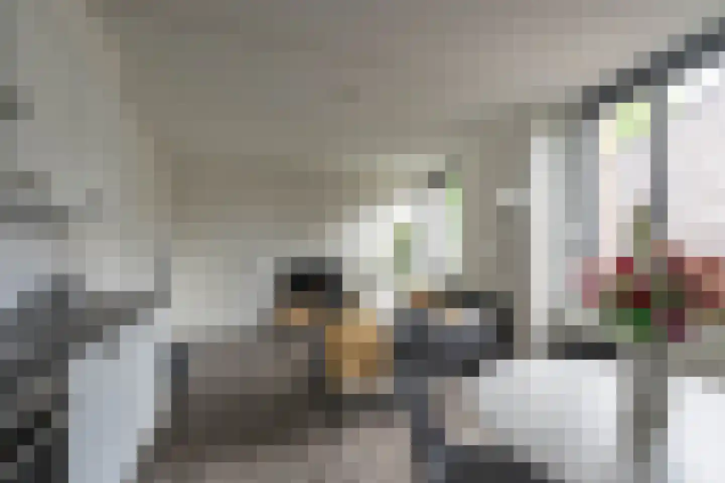 Molenveldlaan 1 A 12 Nijmegen thumbnail 6