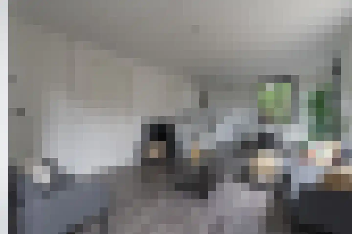 Molenveldlaan 1 A 5 Nijmegen thumbnail 9