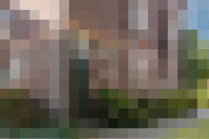 Molenveldlaan 182 Nijmegen thumbnail 29