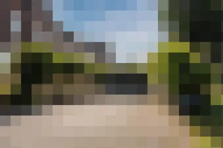 Molenveldlaan 182 Nijmegen thumbnail 32