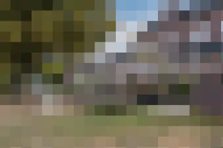 Molenveldlaan 182 Nijmegen thumbnail 37
