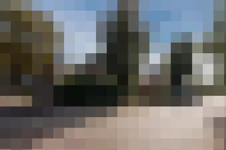 Molenveldlaan 182 Nijmegen thumbnail 38