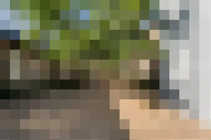 Molenveldlaan 182 Nijmegen thumbnail 39