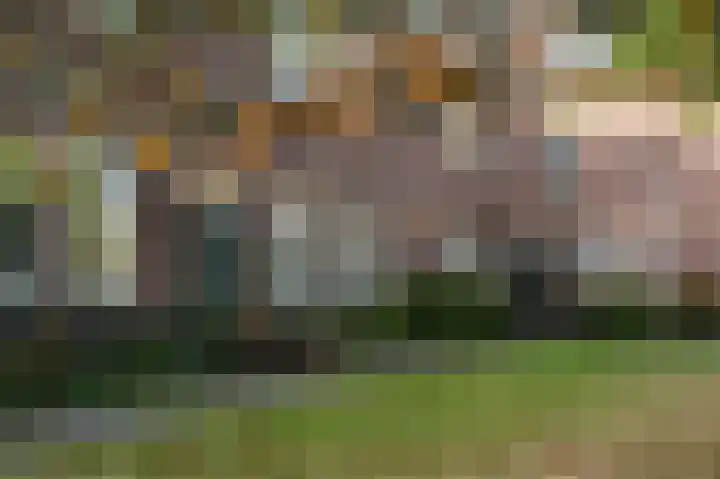 Molenveldlaan 182 Nijmegen thumbnail 6
