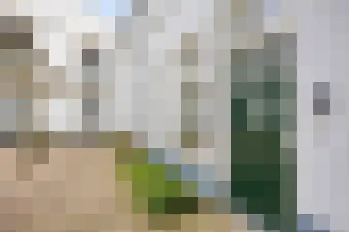 Molenveldlaan 218 Nijmegen thumbnail 12