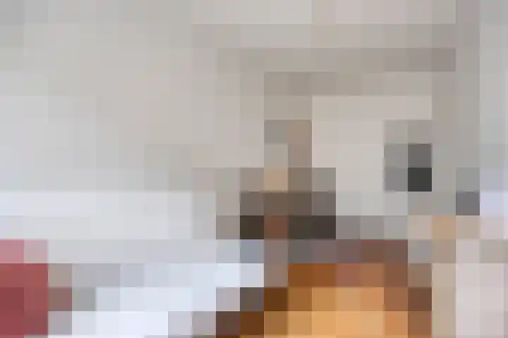 Molenveldlaan 218 Nijmegen thumbnail 33