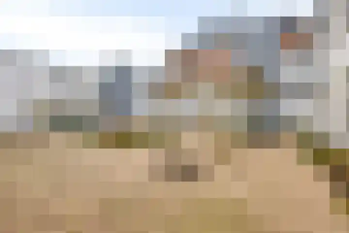 Molenveldlaan 218 Nijmegen thumbnail 35