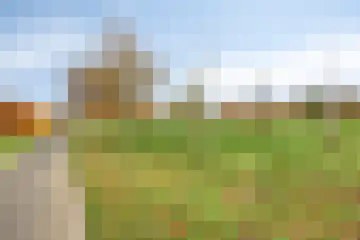 Molenveldlaan 218 Nijmegen thumbnail 38