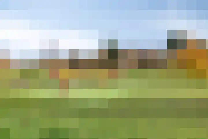 Molenveldlaan 218 Nijmegen thumbnail 39