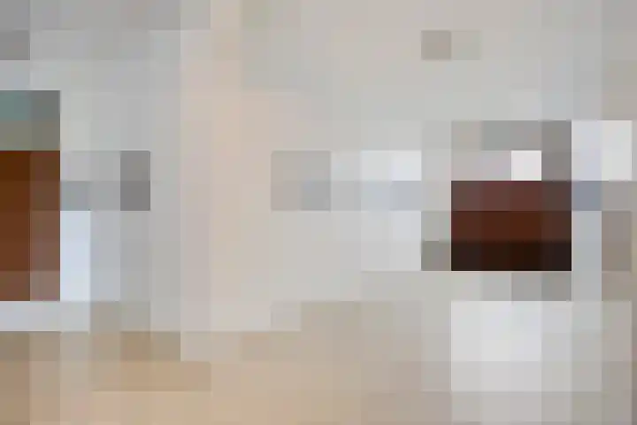 Molenveldlaan 218 Nijmegen thumbnail 8