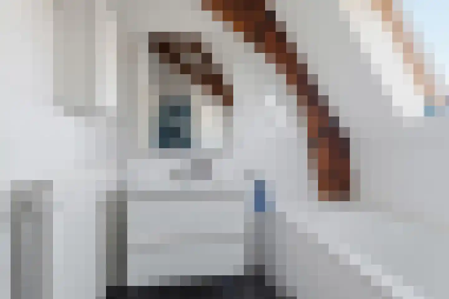 Molenveldlaan 288 Nijmegen thumbnail 33
