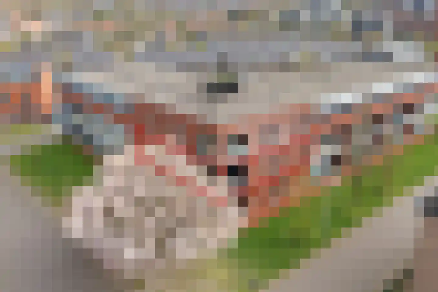 Molenveldlaan 29 Nijmegen