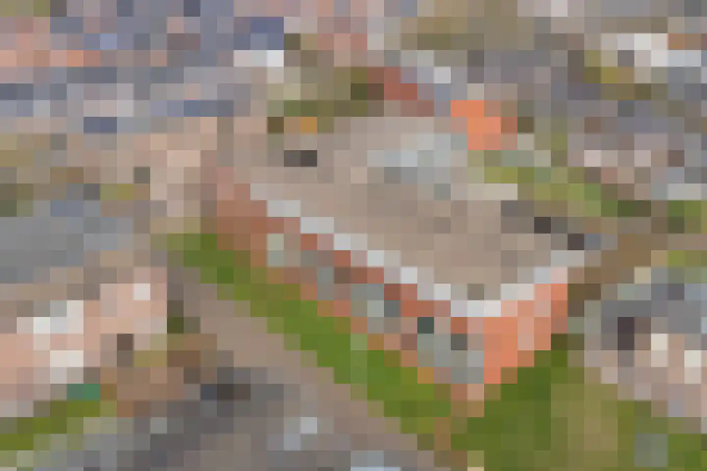Molenveldlaan 29 Nijmegen thumbnail 58