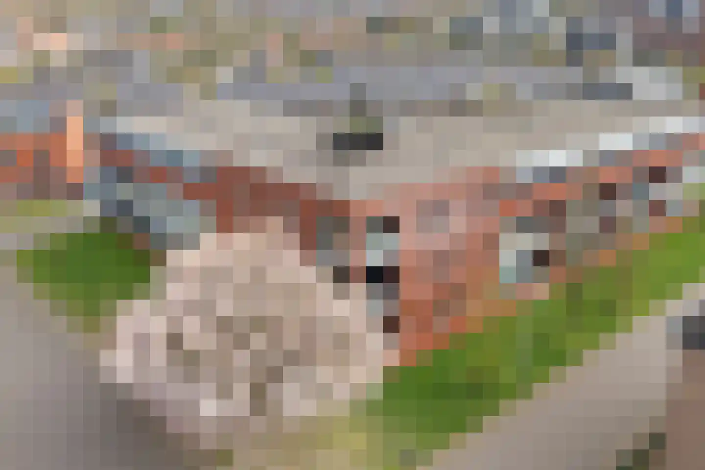 Molenveldlaan 29 Nijmegen thumbnail 6