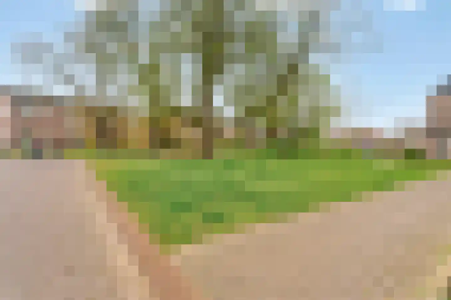 Molenveldlaan 29 Nijmegen thumbnail 61