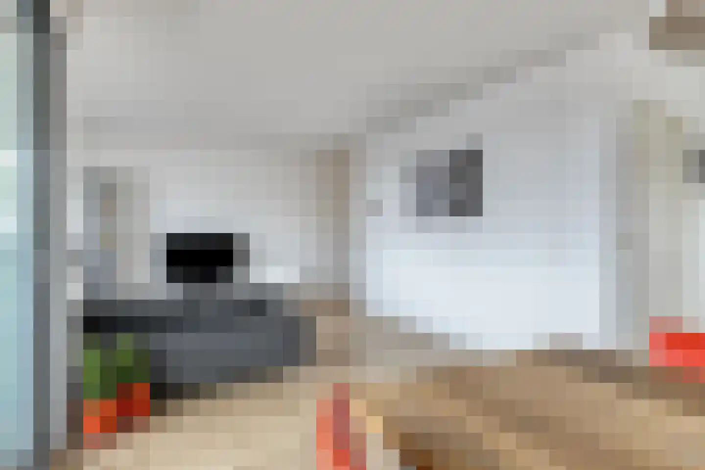 Molenveldlaan 41 E Nijmegen thumbnail 26