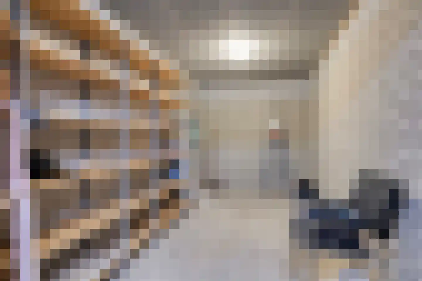 Molenveldlaan 41 E Nijmegen thumbnail 35
