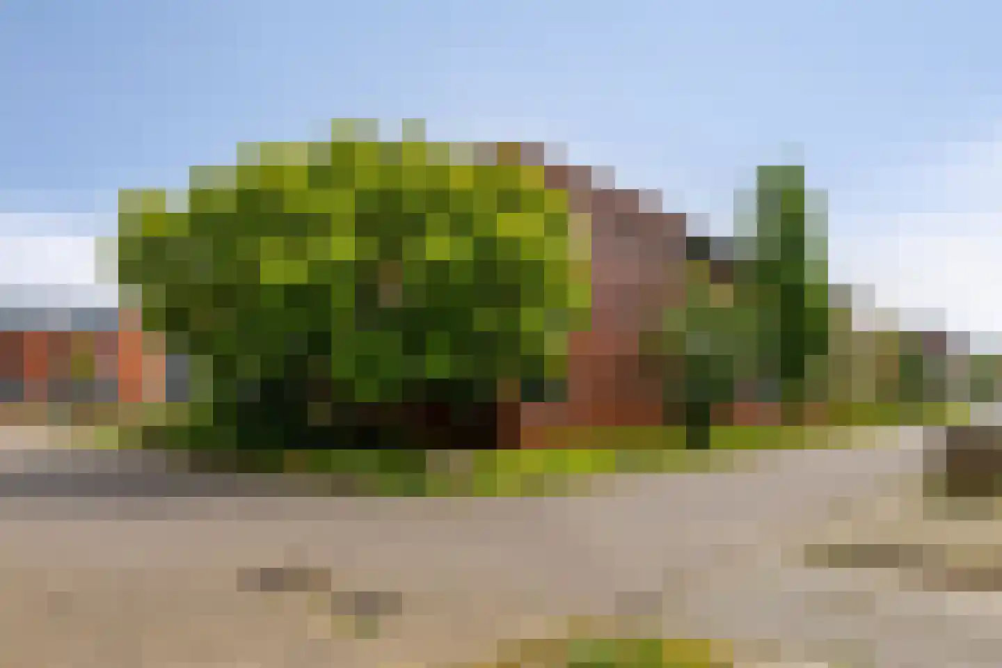 Molenveldlaan 41 E Nijmegen thumbnail 42