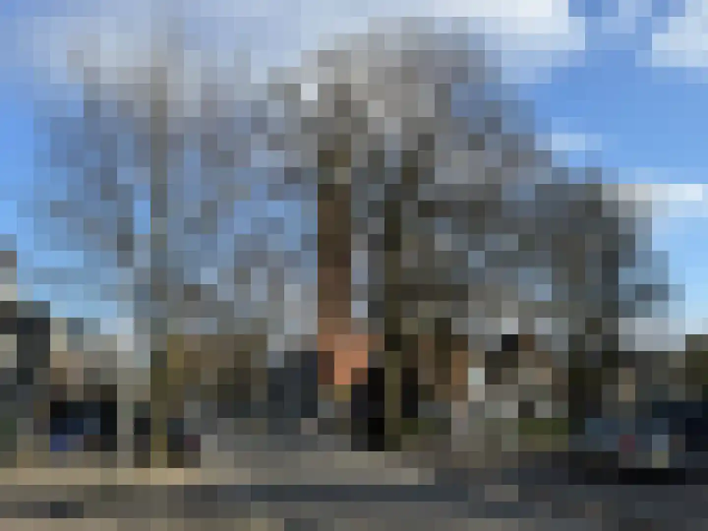 Molenveldlaan 5 A Nijmegen thumbnail 10
