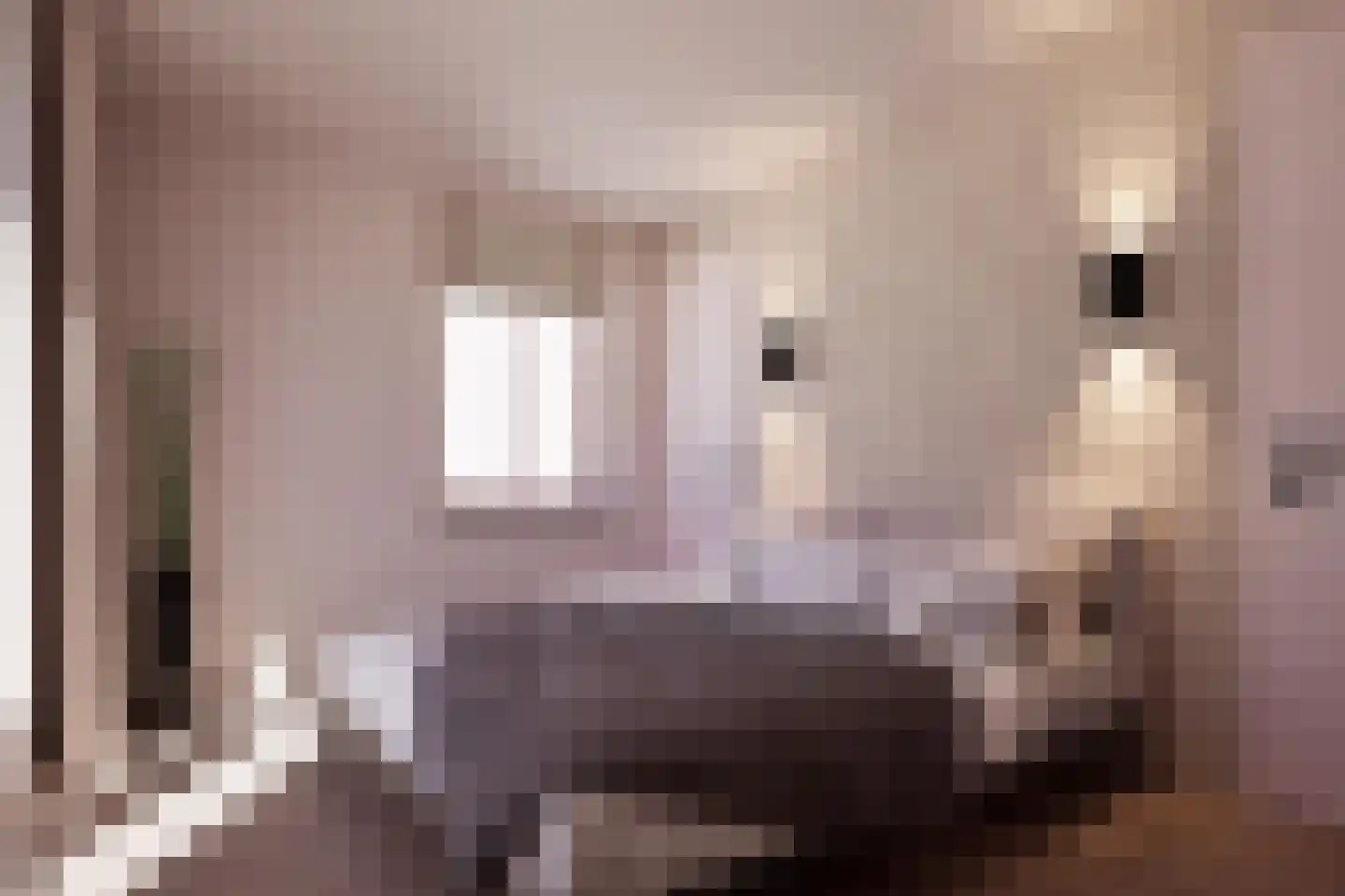 Molenveldlaan 5 A Nijmegen thumbnail 4