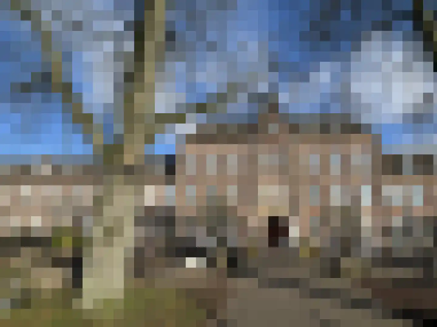 Molenveldlaan 5 A Nijmegen thumbnail 8
