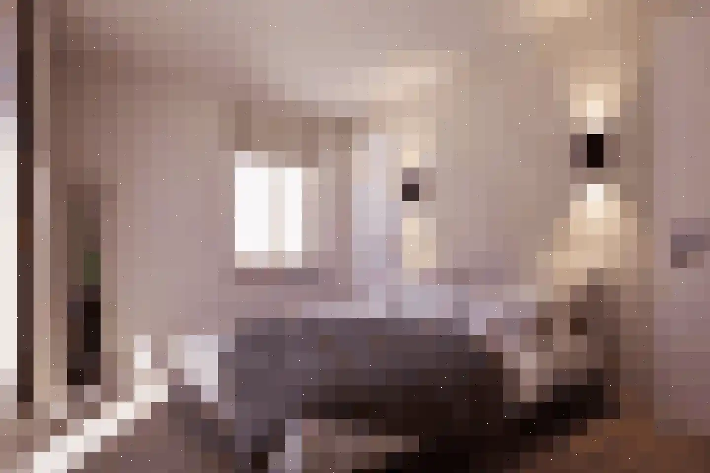 Molenveldlaan 5 C Nijmegen thumbnail 4
