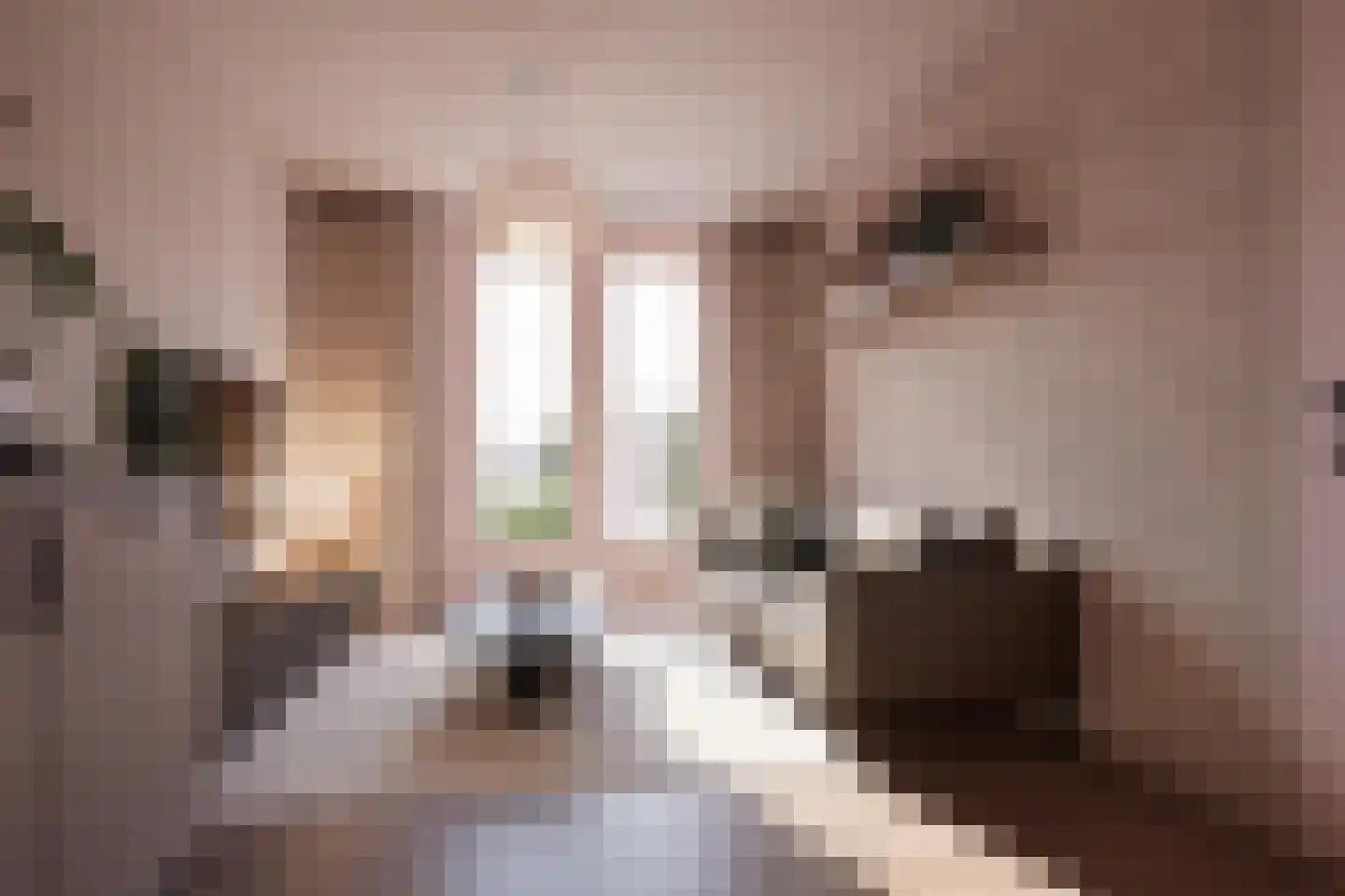 Molenveldlaan 5 G Nijmegen thumbnail 4