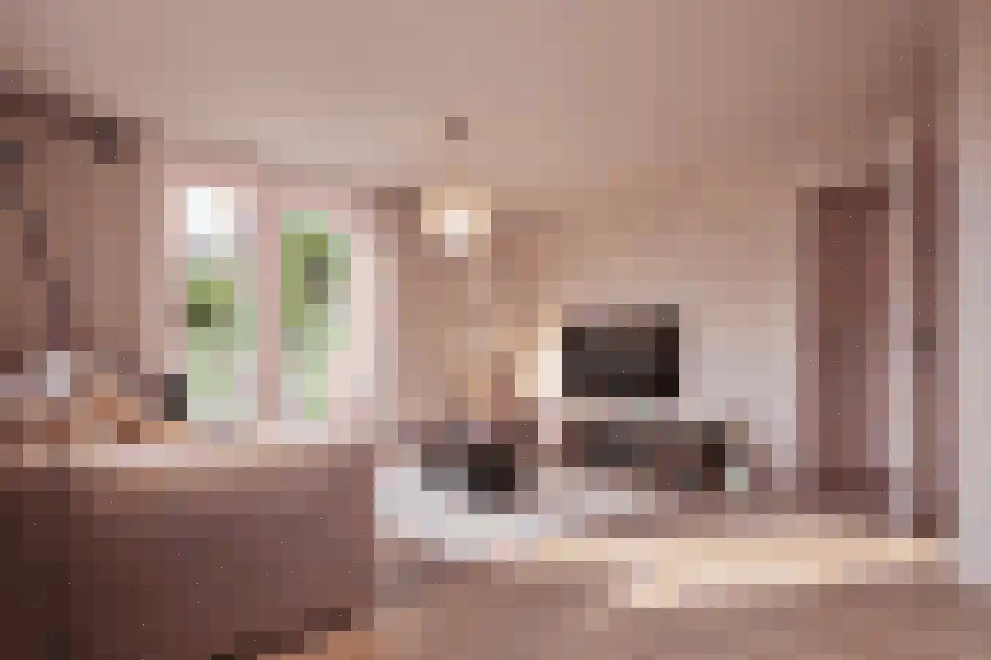 Molenveldlaan 5 H Nijmegen thumbnail 4