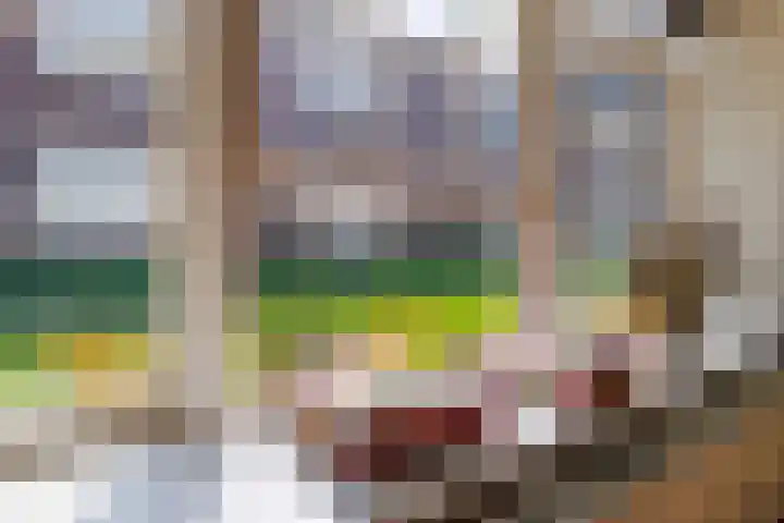 Molenveldlaan 62 Nijmegen thumbnail 10