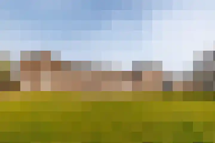 Molenveldlaan 62 Nijmegen thumbnail 32