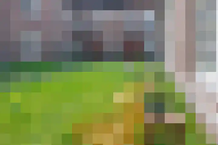 Molenveldlaan 62 Nijmegen thumbnail 38