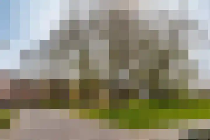 Molenveldlaan 62 Nijmegen thumbnail 39
