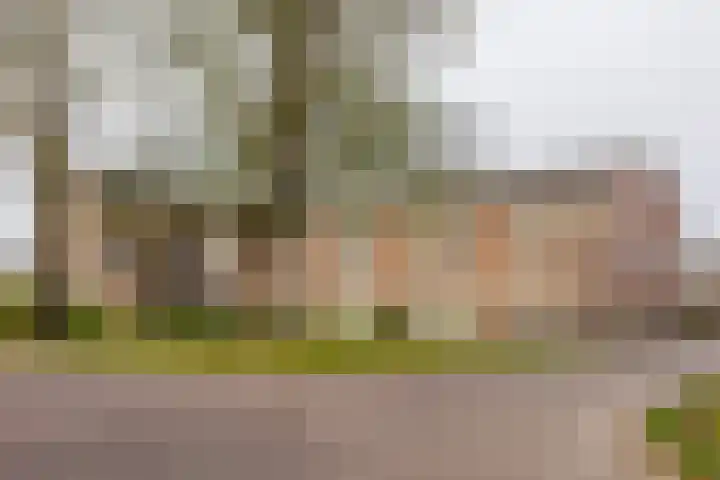 Molenveldlaan 62 Nijmegen thumbnail 40