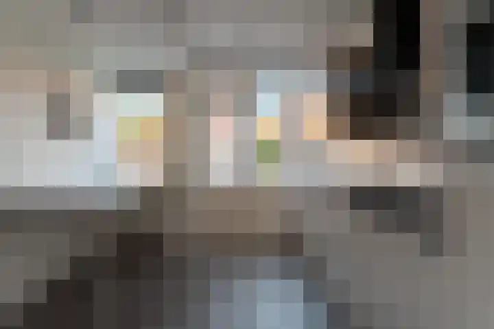 Molenveldsingel 15 Doesburg thumbnail 24