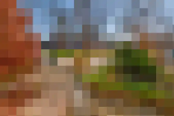 Molenveldsingel 15 Doesburg thumbnail 9
