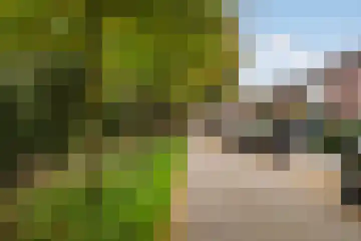Molenveldsingel 18 Doesburg thumbnail 20