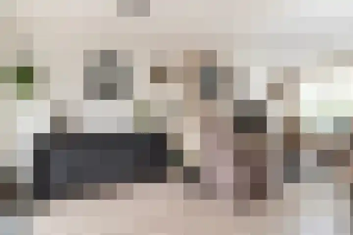 Molenveldsingel 18 Doesburg thumbnail 29