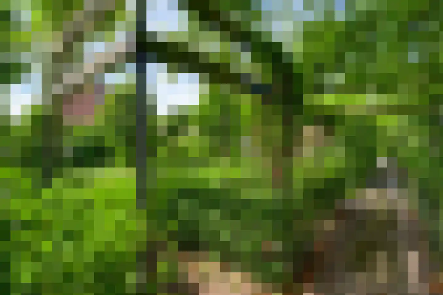Molenveldstraat 1 Weert thumbnail 32