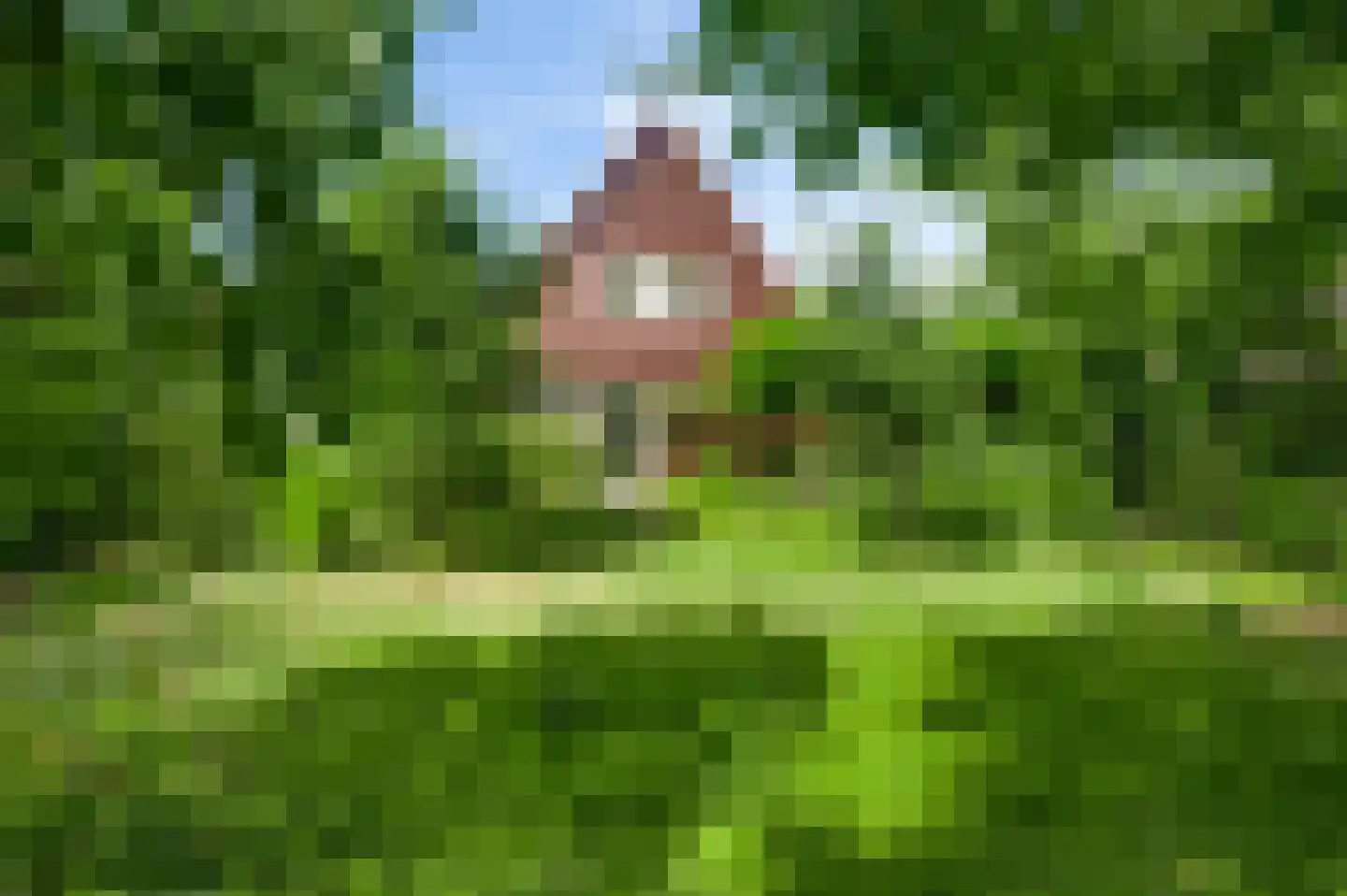 Molenveldstraat 1 Weert thumbnail 33