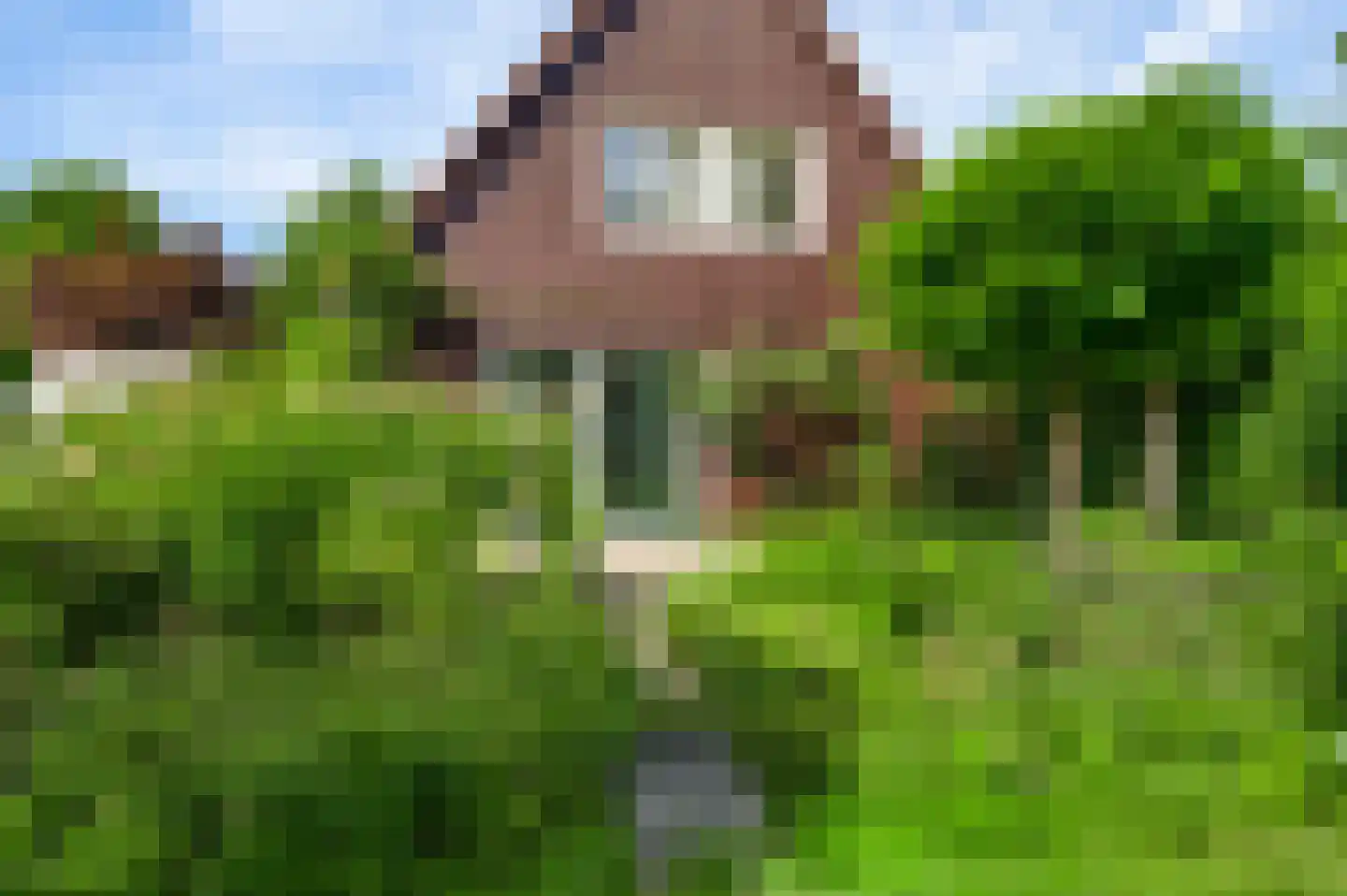 Molenveldstraat 1 Weert thumbnail 35